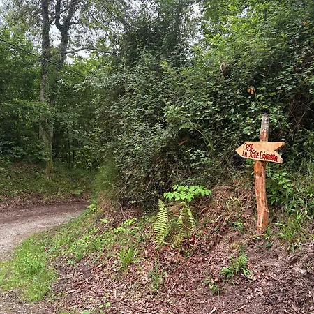 Casa La Raiz Cantabra *